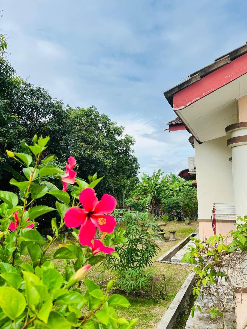 Sofea Homestay איפוה מראה חיצוני תמונה